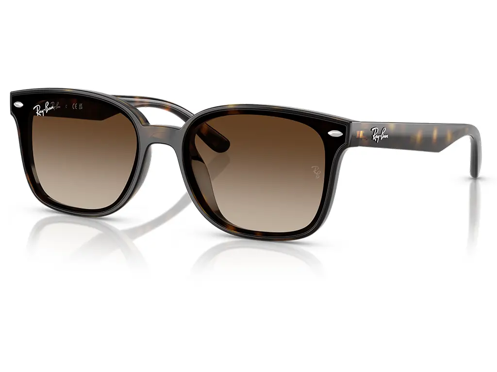 Ray-Ban RB4461D 710/13 64 Havana Gradient