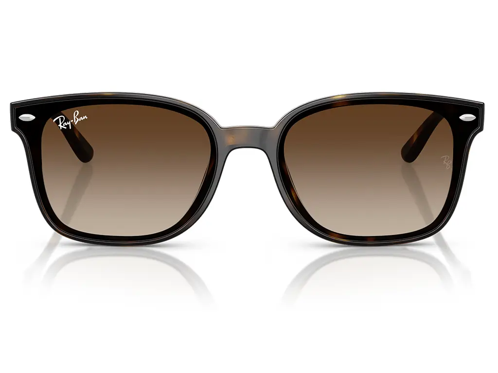 Ray-Ban RB4461D 710/13 64 Havana Gradient