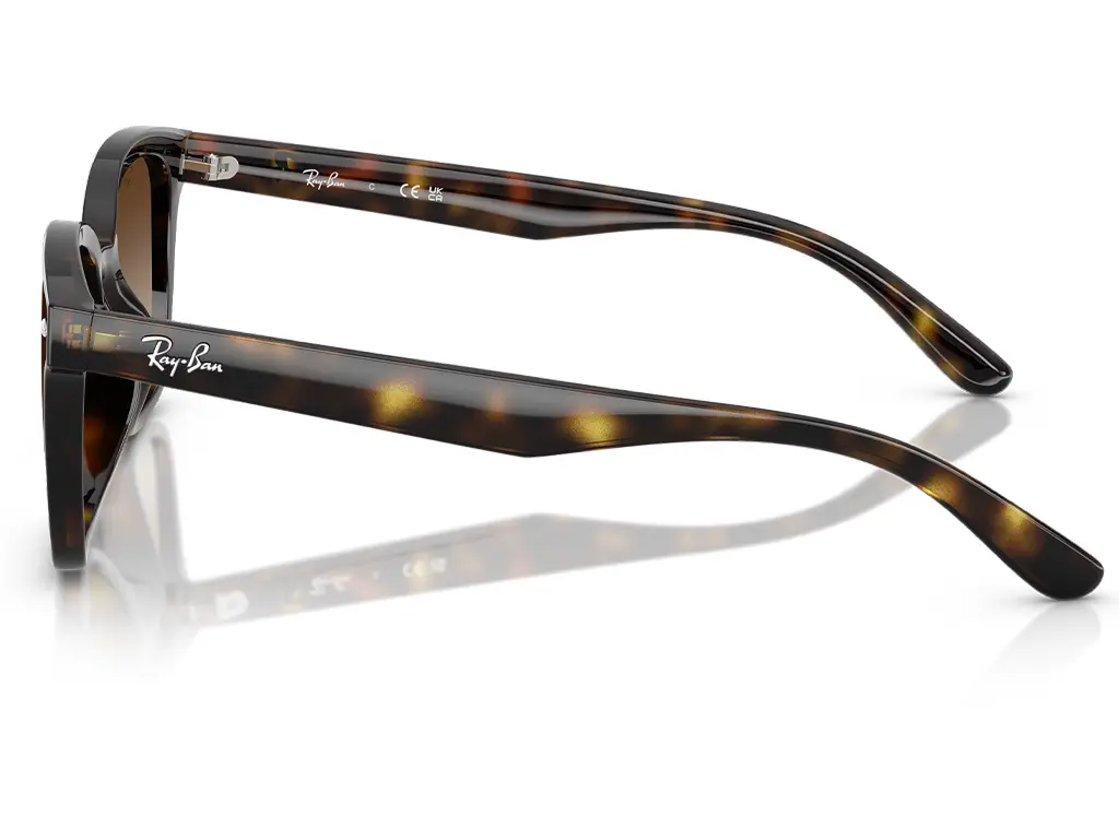 Ray-Ban RB4461D 710/13 64 Havana Gradient