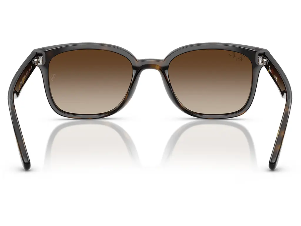Ray-Ban RB4461D 710/13 64 Havana Gradient