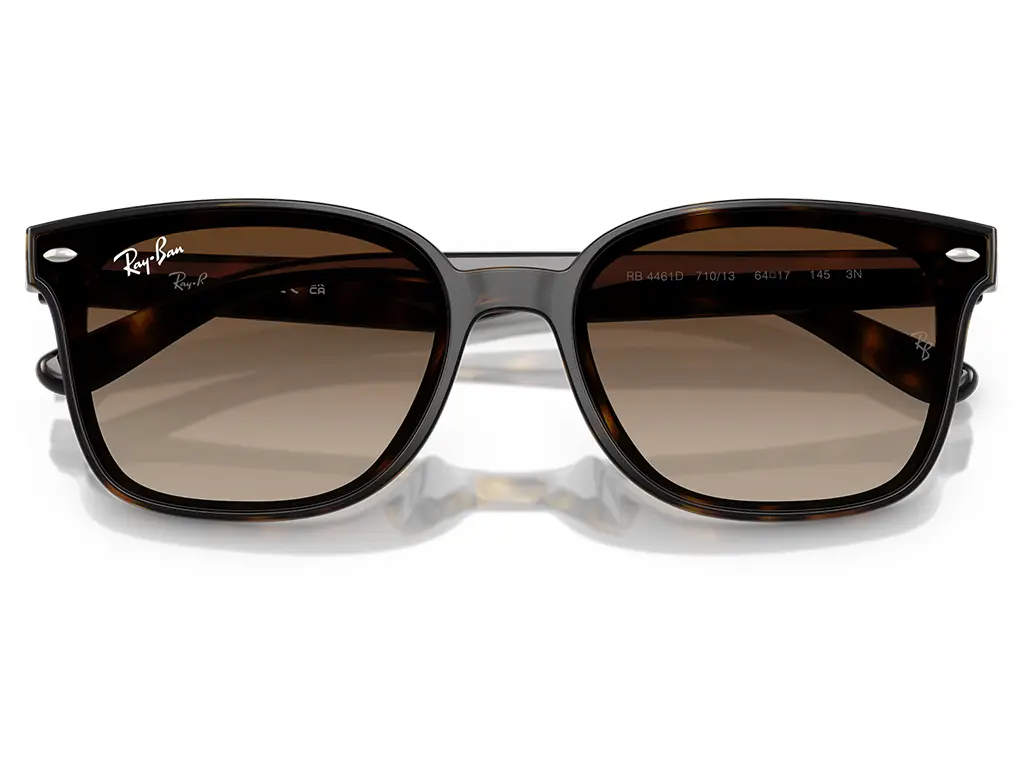 Ray-Ban RB4461D 710/13 64 Havana Gradient