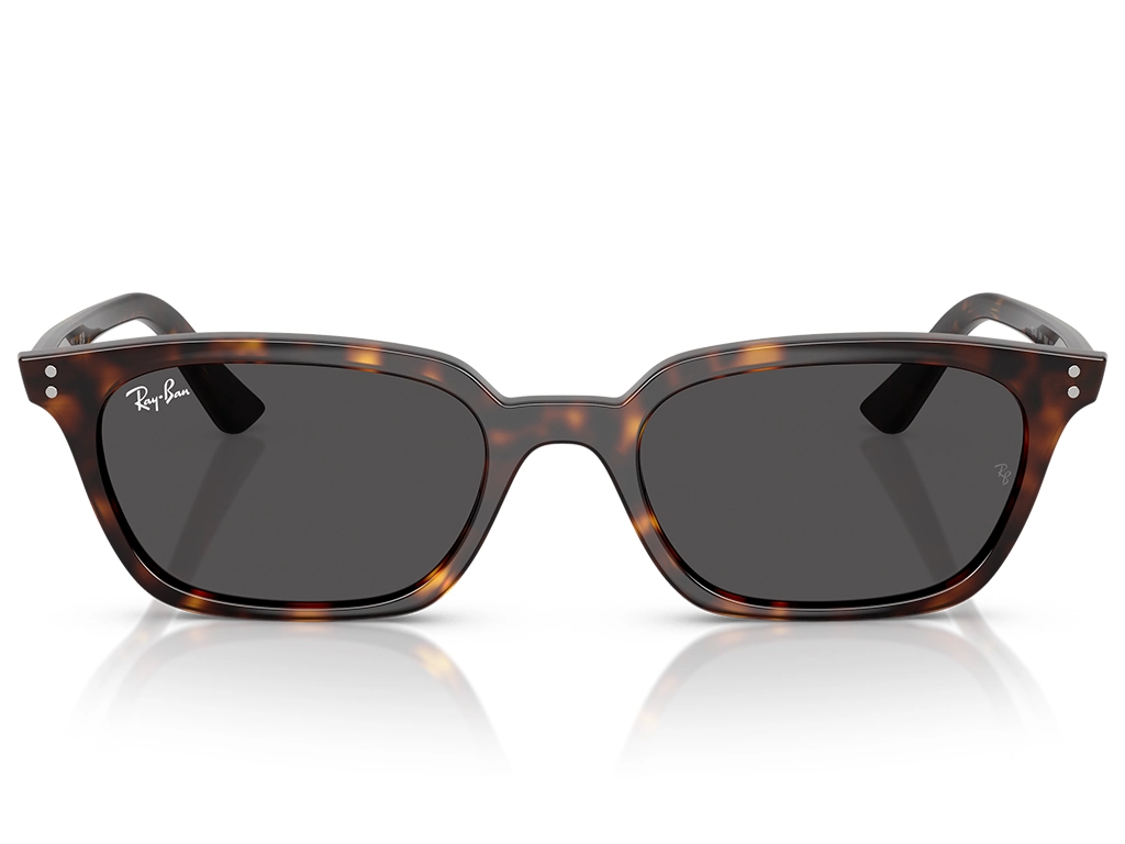 Ray-Ban Zaya 0RB4456 135987 Havana 53