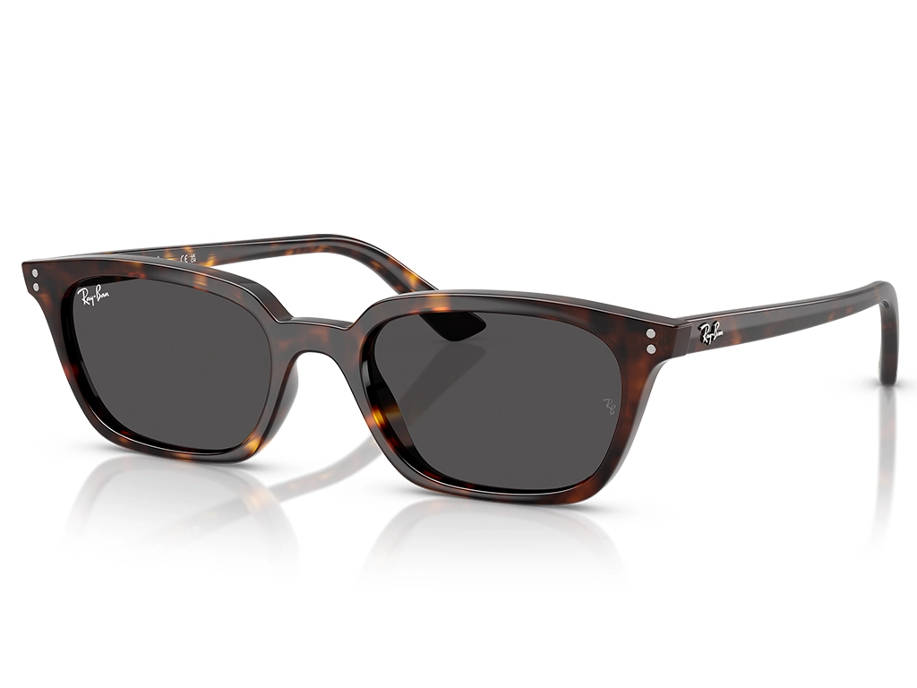 Ray-Ban Zaya 0RB4456 135987 Havana 53