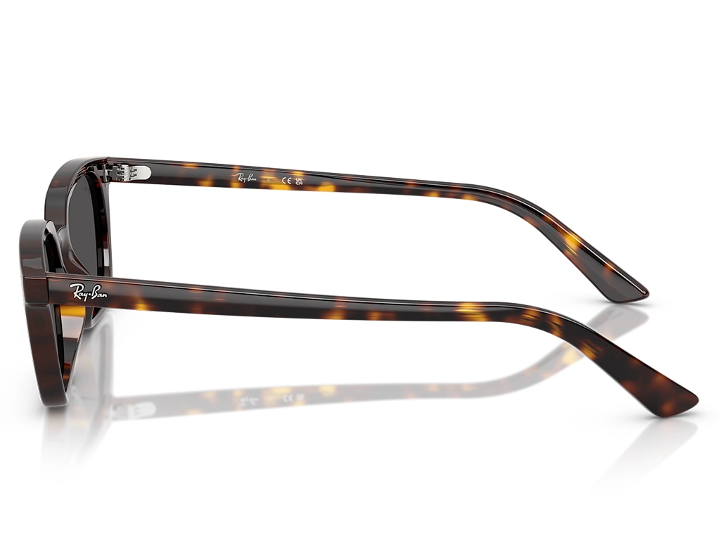 Ray-Ban Zaya 0RB4456 135987 Havana 53