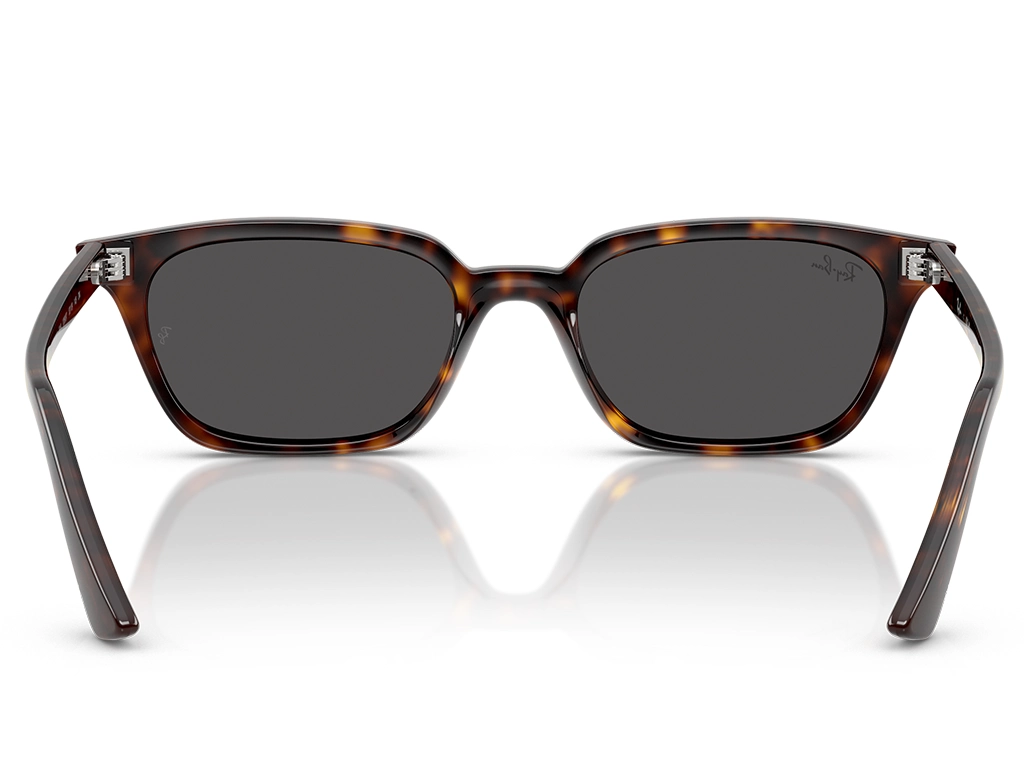 Ray-Ban Zaya 0RB4456 135987 Havana 53