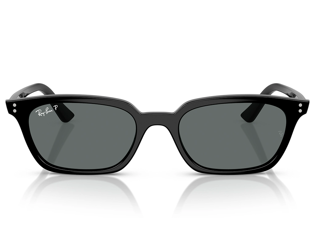 Ray-Ban Zaya 0RB4456 667781 Black 53 Polarised