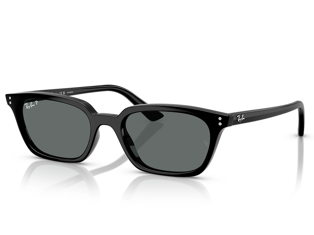 Ray-Ban Zaya 0RB4456 667781 Black 53 Polarised