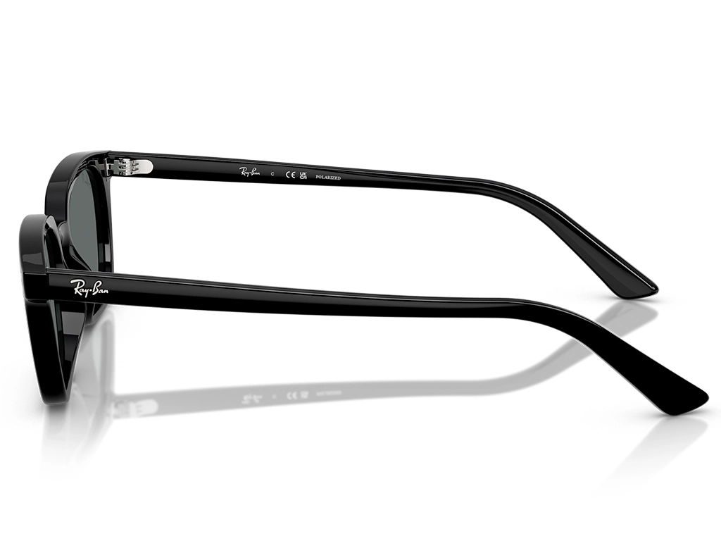 Ray-Ban Zaya 0RB4456 667781 Black 53 Polarised