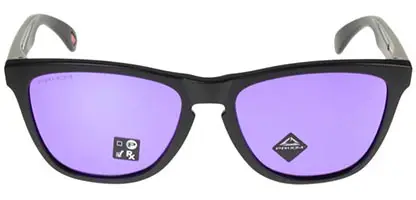 Oakley Frogskins Polarized Crystal Black with Prizm Sapphire Polarized –  Xtreme Boardshop ()