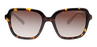Dark Havana