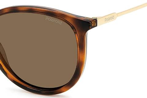 Polaroid PLD 4143/S/X 086 Tortoise 53 Polarised