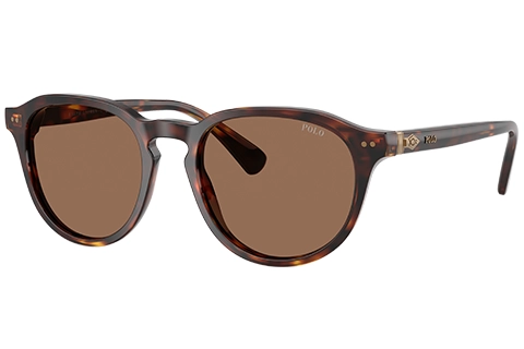 Polo Ralph Lauren PH4221 613773 52 Shiny Brown Tortoise