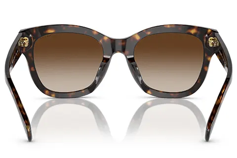 Ralph by Ralph Lauren RA5301U 500313 Dark Havana 52 Gradient