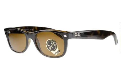 New wayfarer 2024 tortoise shell