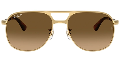Polarized Brown Gradient