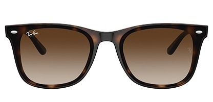 0RB4420 710/13 Havana 65 Gradient