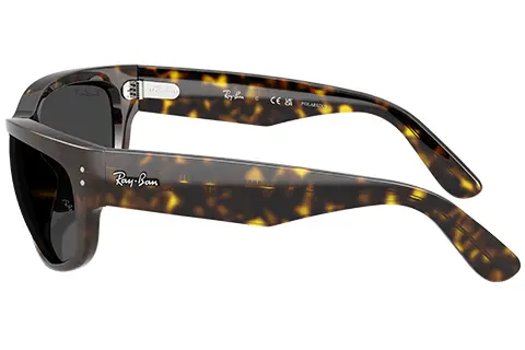 Ray-Ban Mega Balorama RB2289 902/48 60 Havana Polarised