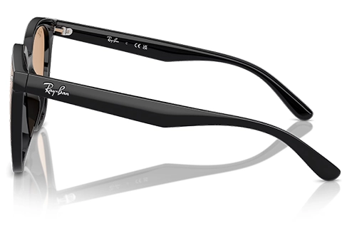 Ray-Ban RB4423D 601/93 66 Black