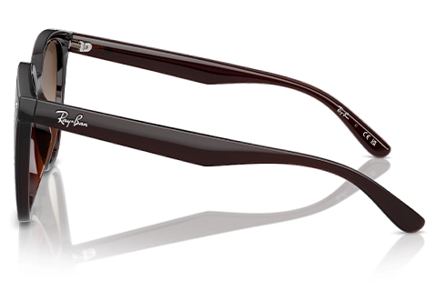 Ray-Ban RB4423D 714/13 66 Transparent Brown Gradient