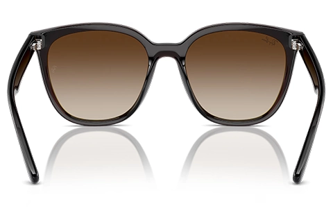 Ray-Ban RB4423D 714/13 66 Transparent Brown Gradient