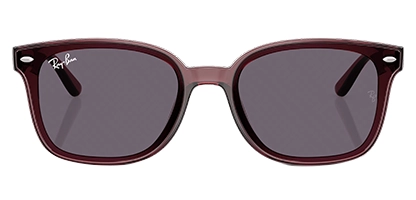  RB4461D 659373 64 Transparent Dark Brown
