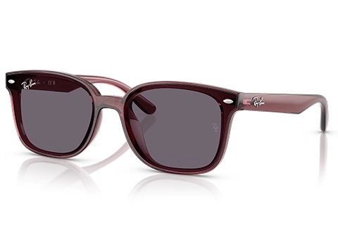 Ray-Ban RB4461D 659373 64 Transparent Dark Brown