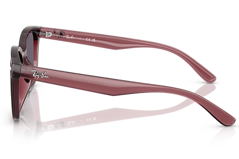 Ray-Ban RB4461D 659373 64 Transparent Dark Brown