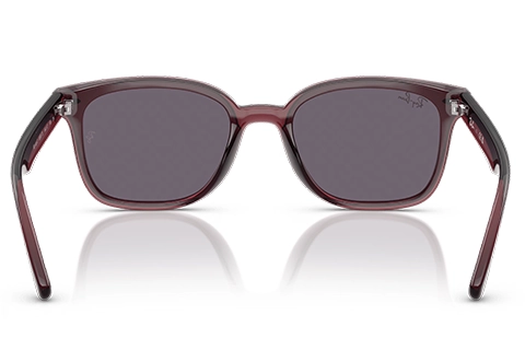 Ray-Ban RB4461D 659373 64 Transparent Dark Brown