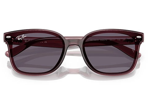 Ray-Ban RB4461D 659373 64 Transparent Dark Brown