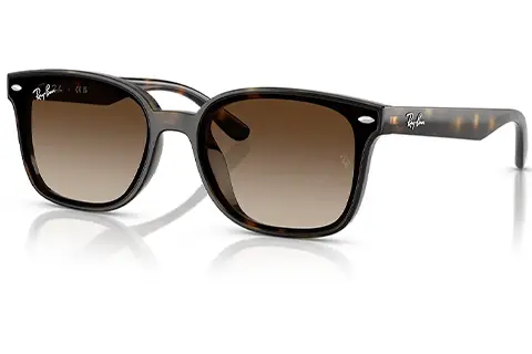 Ray-Ban RB4461D 710/13 64 Havana Gradient
