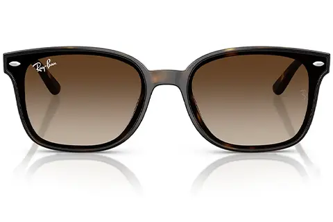 Ray-Ban RB4461D 710/13 64 Havana Gradient
