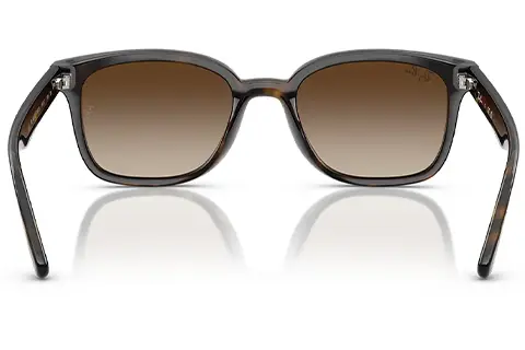 Ray-Ban RB4461D 710/13 64 Havana Gradient